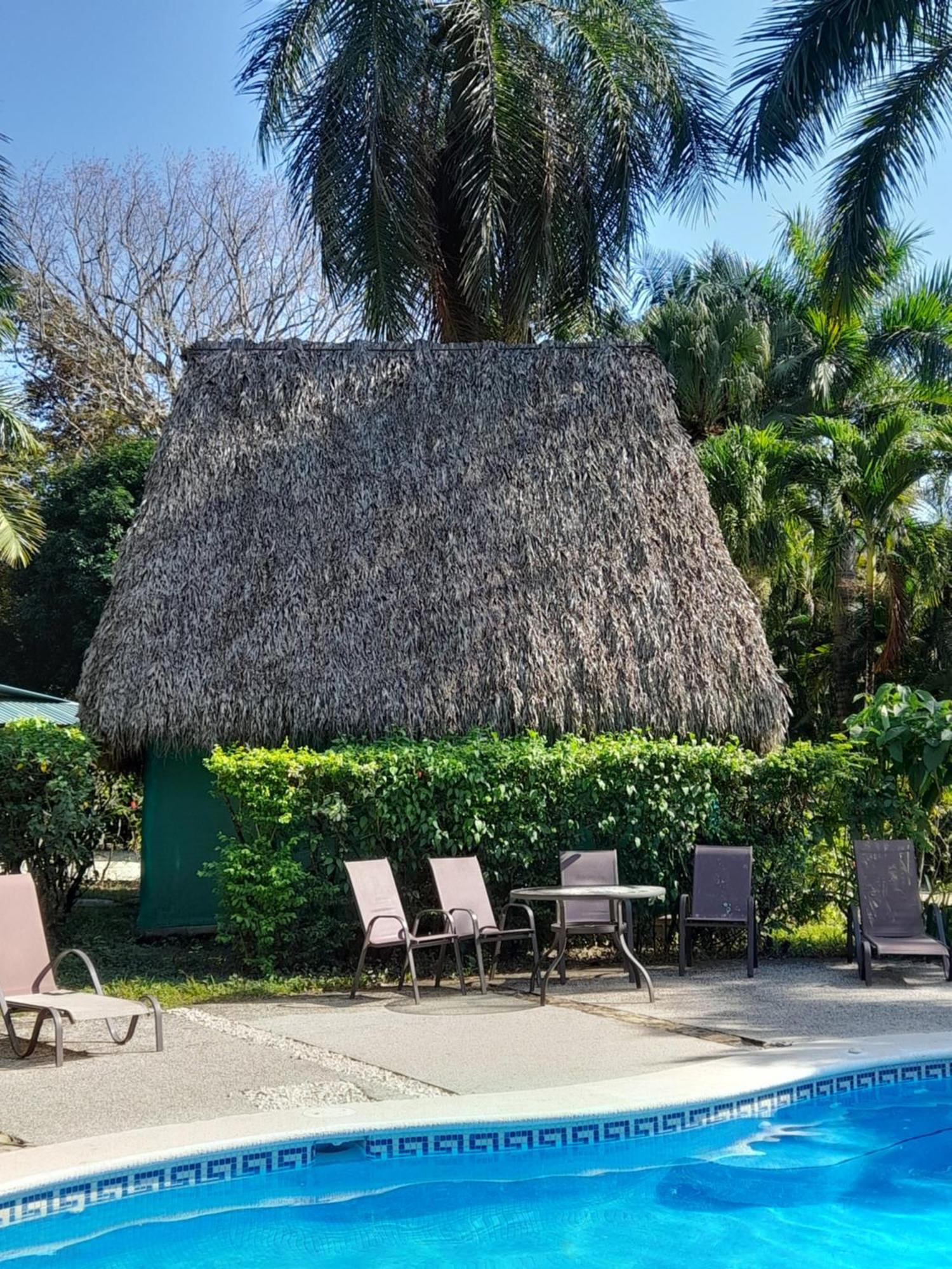 Mal Pais Surf Camp Hotell Playa Santa Teresa  Exteriör bild