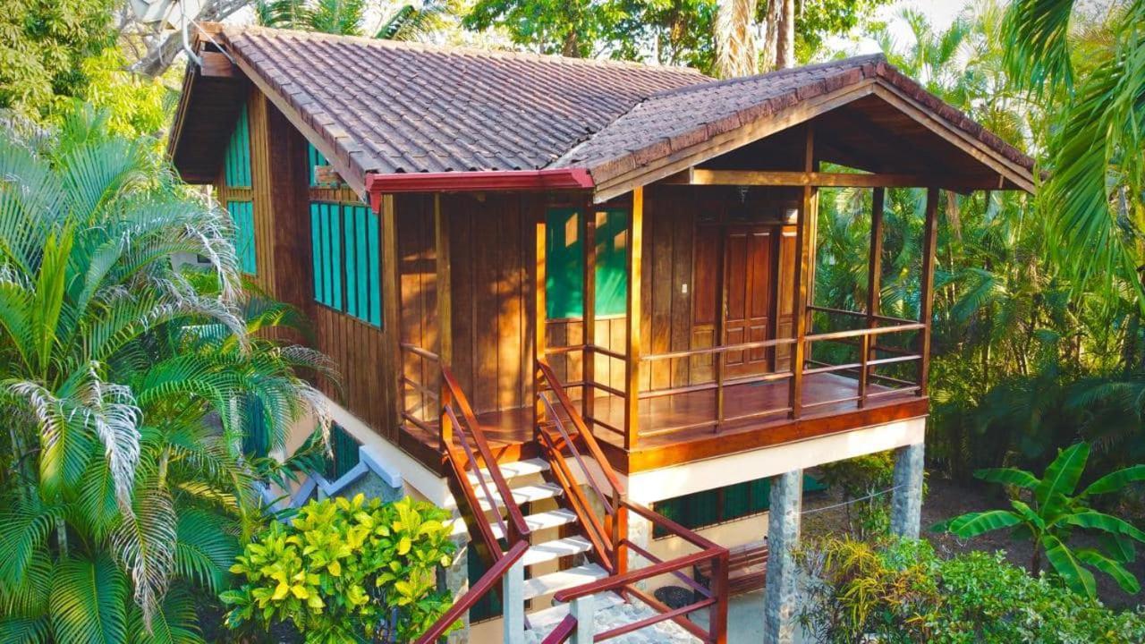 Mal Pais Surf Camp Hotell Playa Santa Teresa  Rum bild