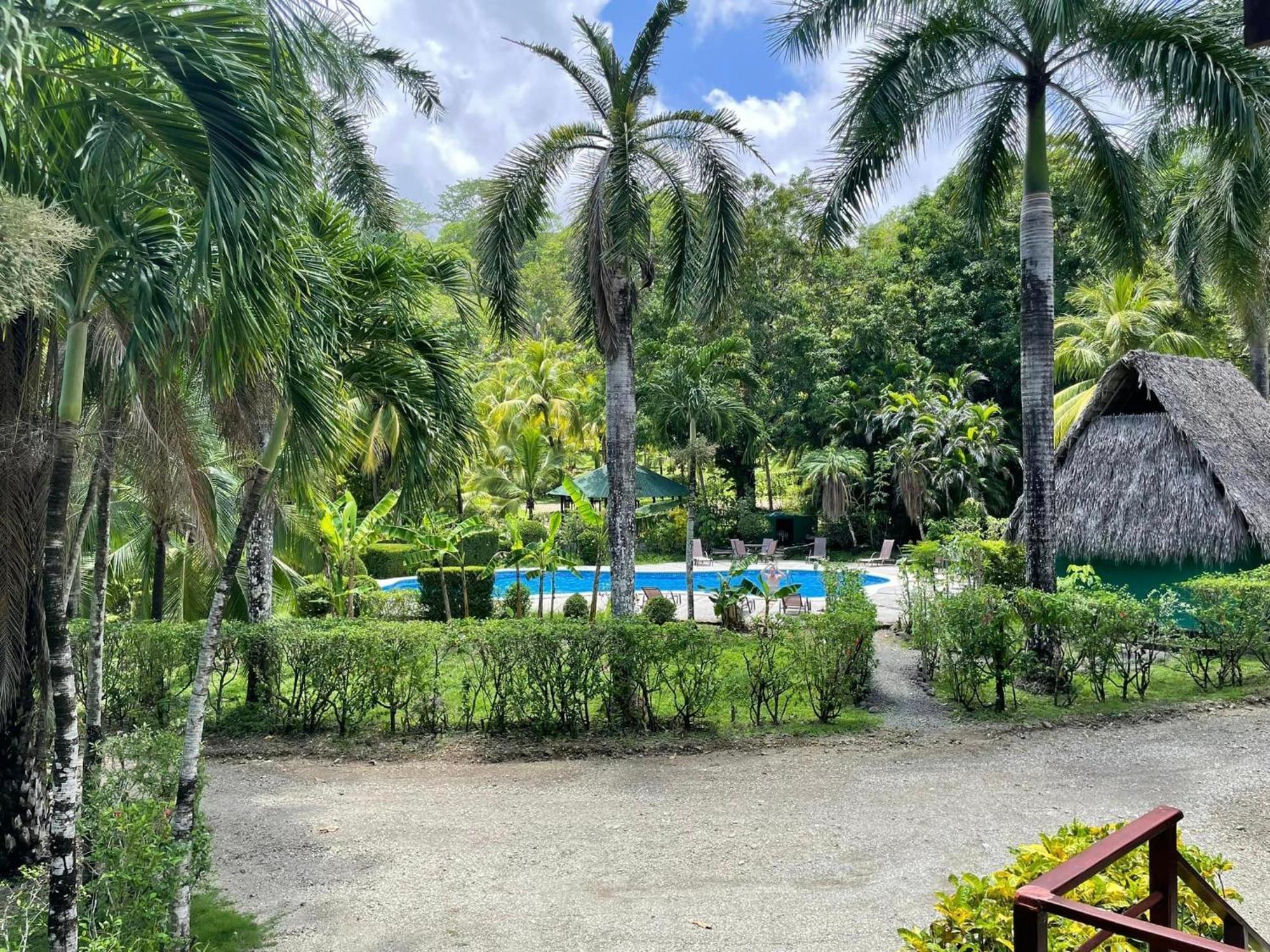 Mal Pais Surf Camp Hotell Playa Santa Teresa  Rum bild